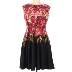✨️CL Danny Nicole Floral Fade A Line Dress Petite Sz 6